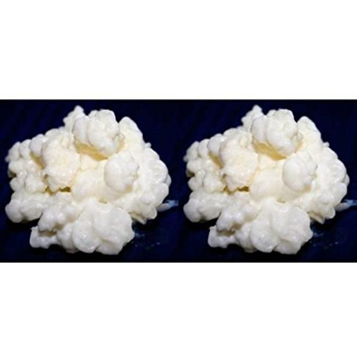 Pack 2x 40g de Hongo / Nódulos de Kéfir de Leche