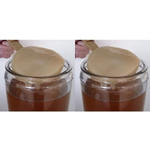 Pack 2x Disco SCOBY Kombucha