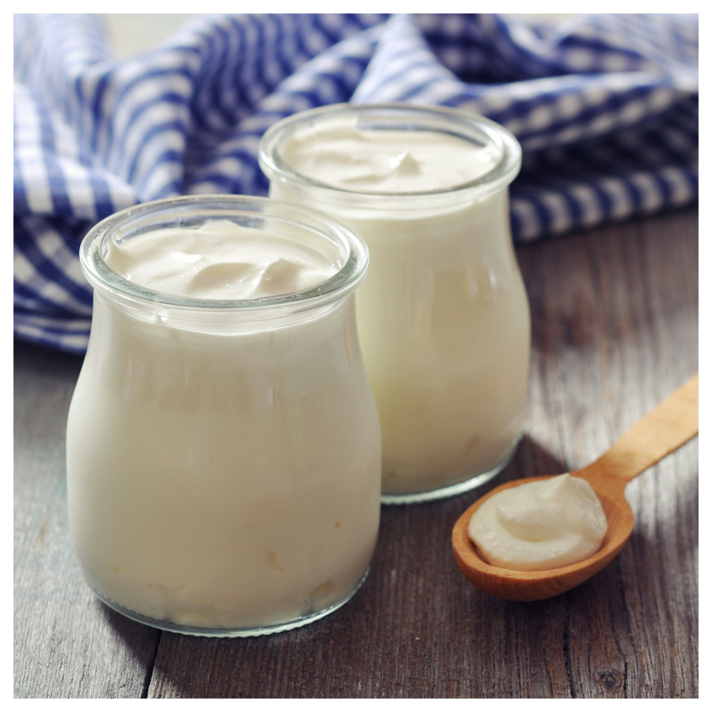 Yogur Búlgaro Fermento Tradicional Kefiralia