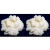 Pack 2x 40g de Hongo / Nódulos de Kéfir de Leche