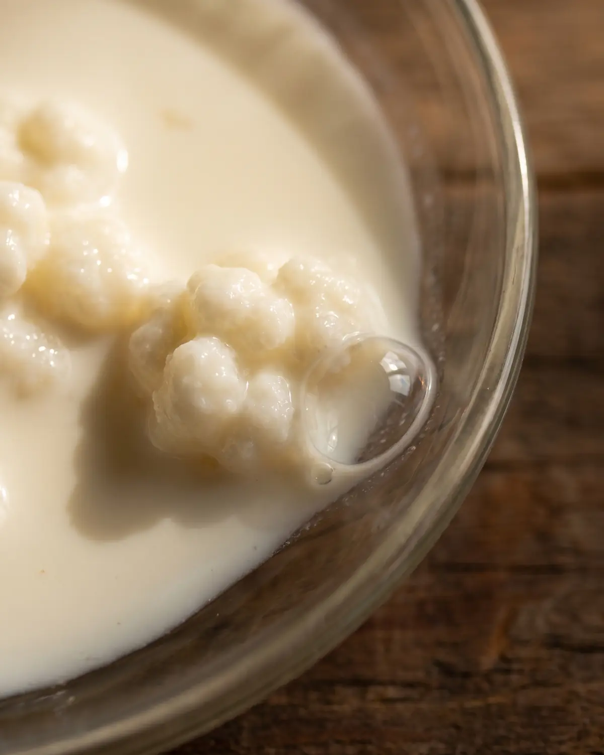 Burbuja junto a un gr&aacute;nulo de k&eacute;fir en leche cremosa, con el borde del cristal ligeramente oscuro