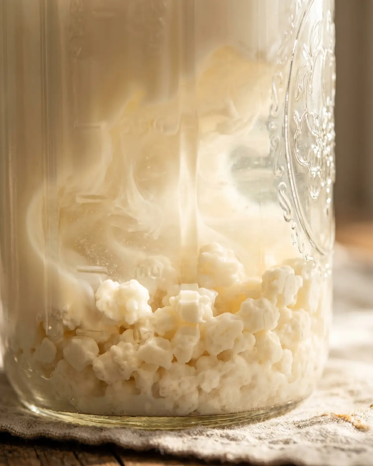 Gr&aacute;nulos de k&eacute;fir blanco crema en el fondo de un tarro, rodeados de leche transl&uacute;cida.