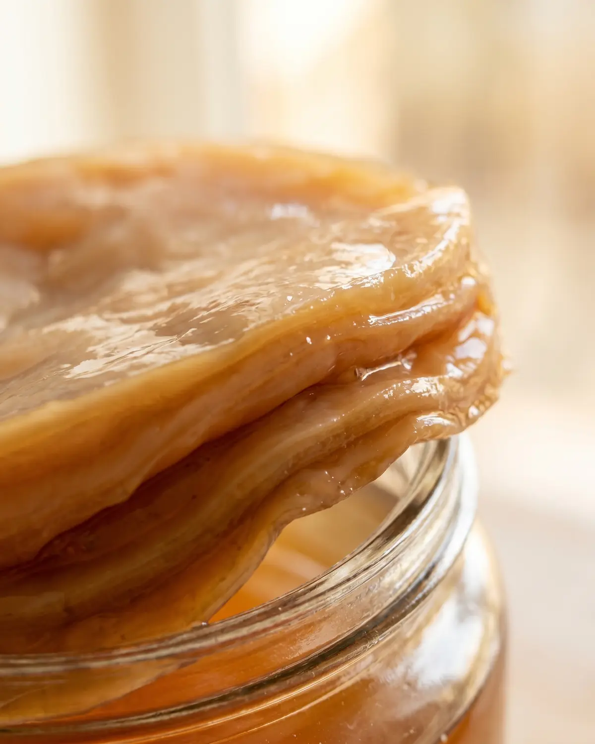 Detalle del borde de un SCOBY beige y marr&oacute;n, con capas gomosas sumergidas en t&eacute; &aacute;mbar.