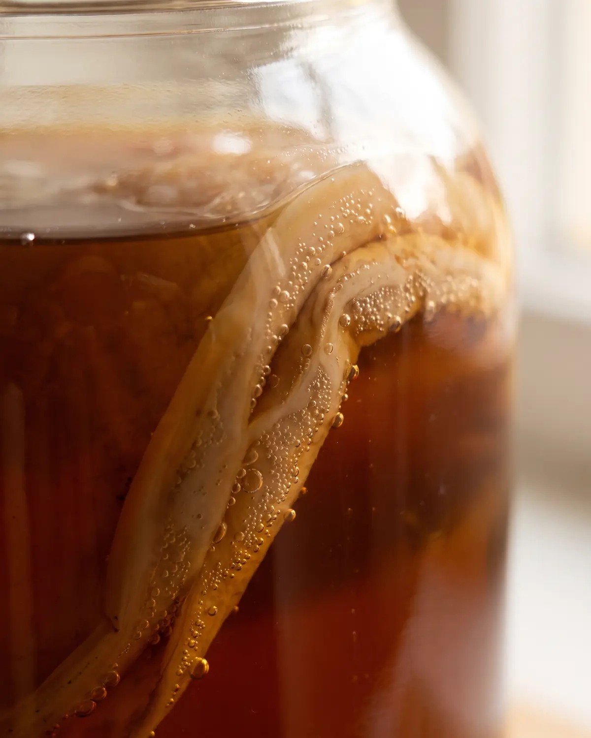 Detalle del SCOBY junto al vidrio, con pliegues beige y microburbujas visibles en la superficie.