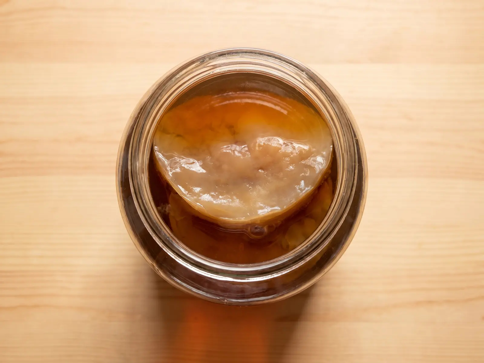 Vista cenital de un tarro de kombucha con un SCOBY beige flotando sobre t&eacute; oscuro en fermentaci&oacute;n.